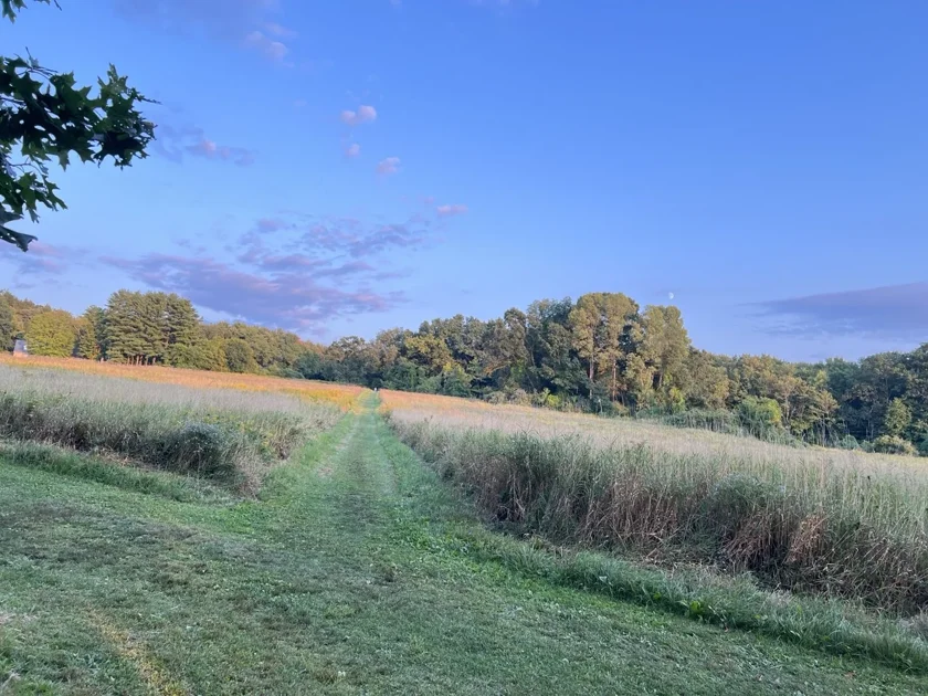 A mowed path leading into the open farmland beside The Silo.